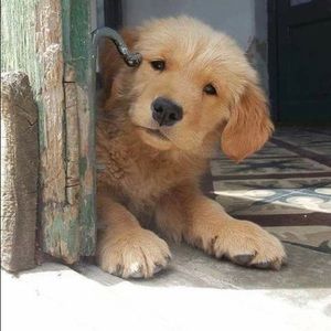 Meet your Posher, Jeanmarie